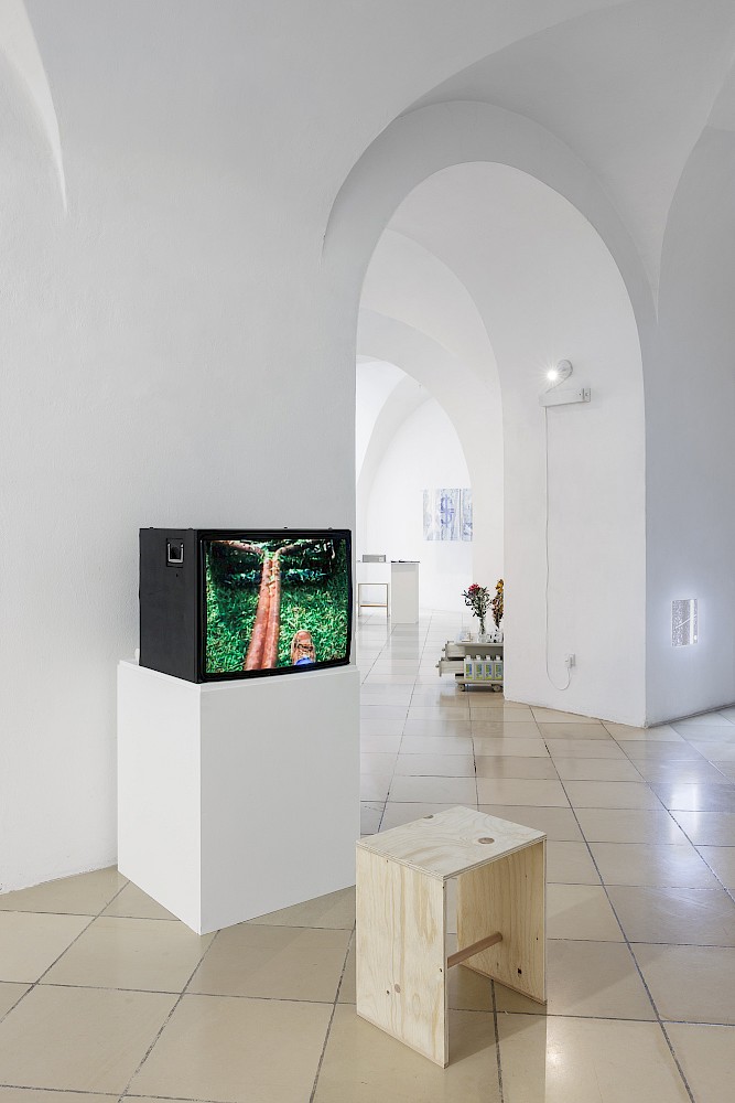 Backyard Economy II (Diane Germain mowing) and Backyard Economy I