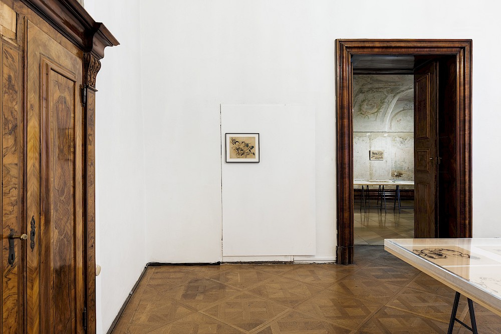 installation view, Grafiken um 1920