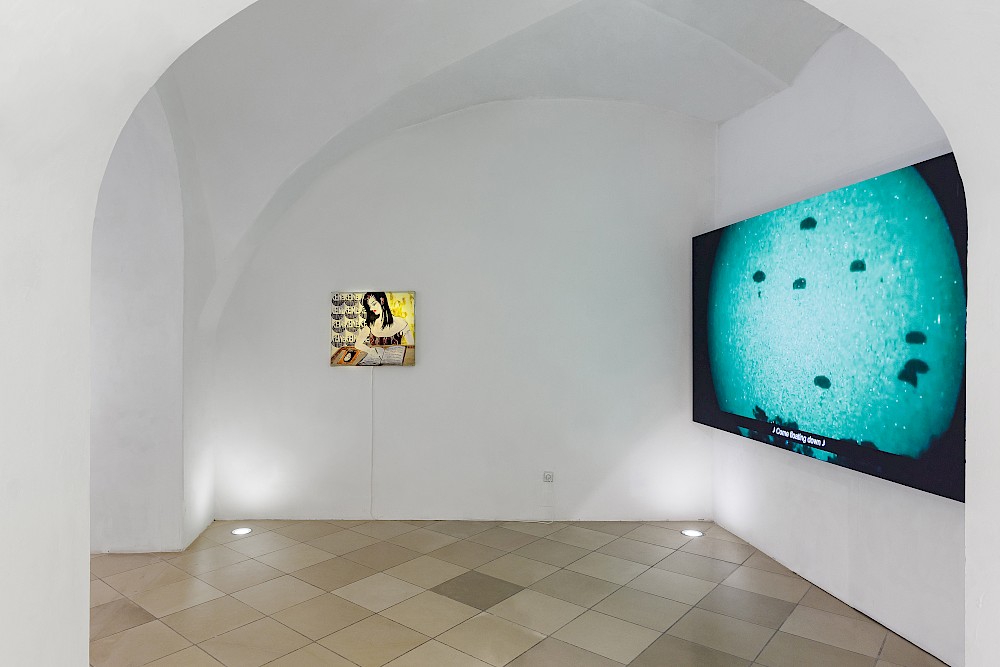 installation view