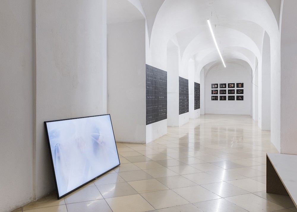 These questions pursue me as much as I pursue them