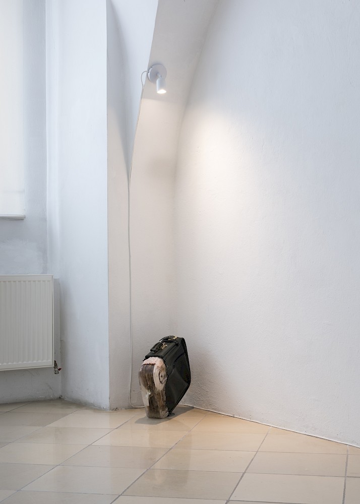 Notes on displacement Fig. 1